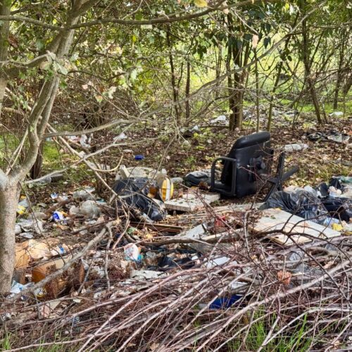Discarica abusiva in via Vecchia Bagliani: presto la rimozione. Assessore Coloris: “La Polfer vigilerà”