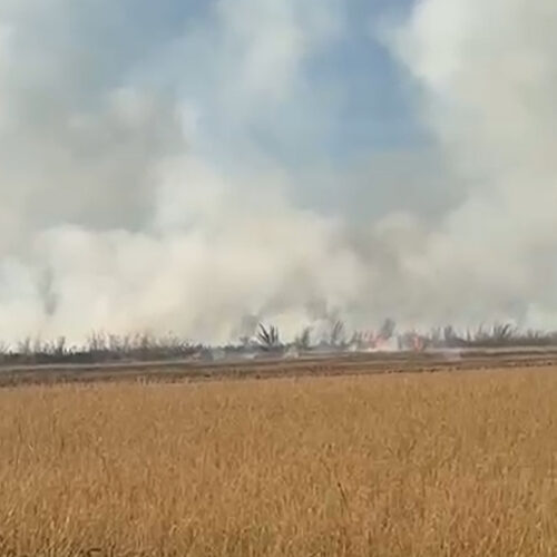 Vasto incendio di sterpaglie a Ticineto: a fuoco circa 40 ettari