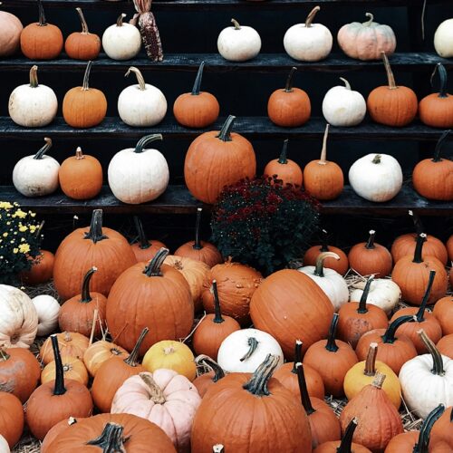 Cosa fare in provincia di Pavia sabato 1° e domenica 2 novembre