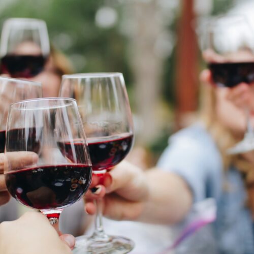 Agroalimentare e vino trainano l’economia pavese: i dati del Rapporto 2024 della Camera di Commercio