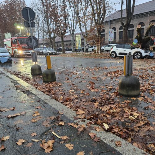 Sei platani troppo malati in spalto Gamondio: saranno abbattuti