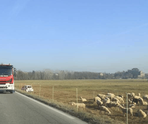 Incidente tra due auto a Basaluzzo: traffico rallentato