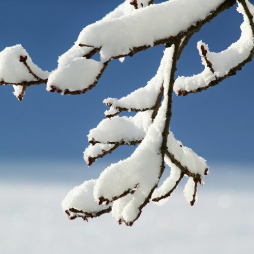 Lunedì allerta gialla per neve in provincia di Alessandria