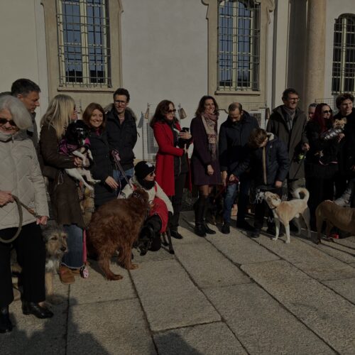 Pet Christmas: premiati i partecipanti