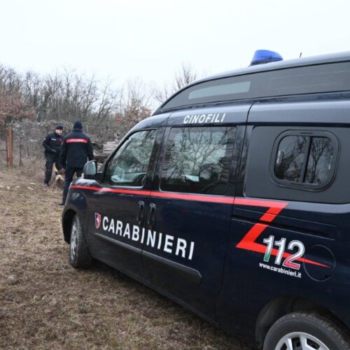 All’alba scatta nel novese operazione dei Carabinieri contro i “boschi della droga”