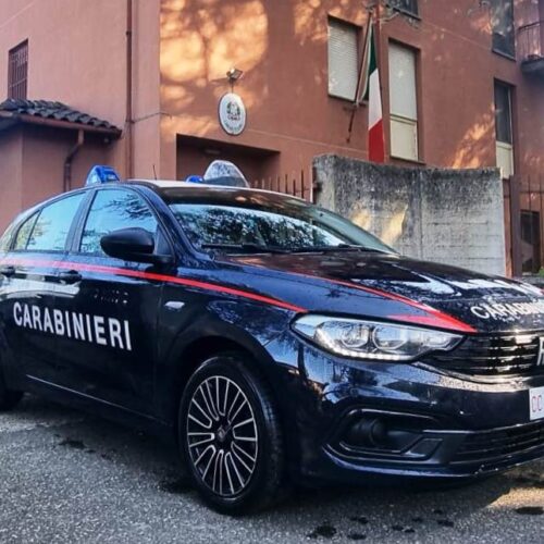 Tenta furto al supermercato: poi cerca la fuga con calci, pugni e morsi