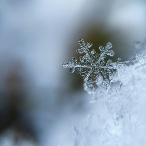 Meteo: peggioramento dalla serata. Quota neve scende a 300 metri sul Basso Piemonte