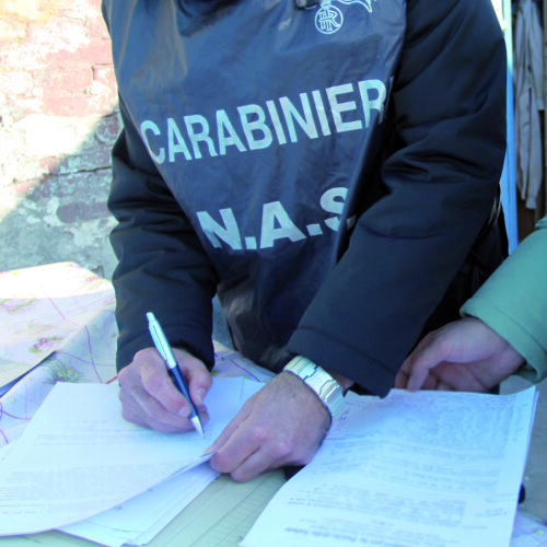 Controlli dei Nas nel 2025: 12 persone denunciate per gravi violazioni in strutture sanitarie