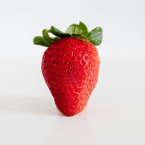 La storia della fragola di Borgo San Martino attraverso un libro artistico