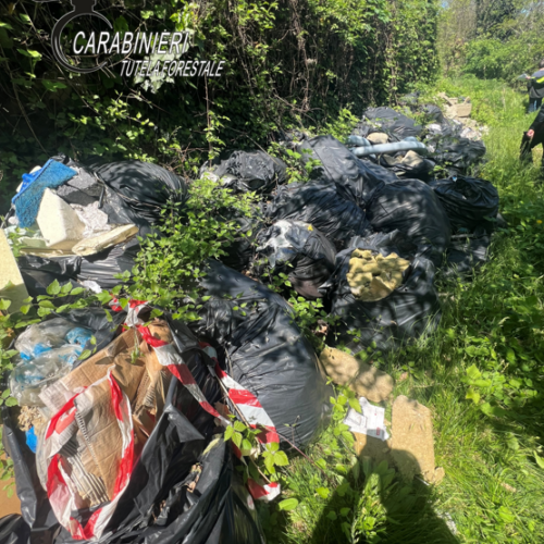 Rifiuti edili abbandonati su un terreno. Forestali individuano responsabili e scatta maxi sanzione
