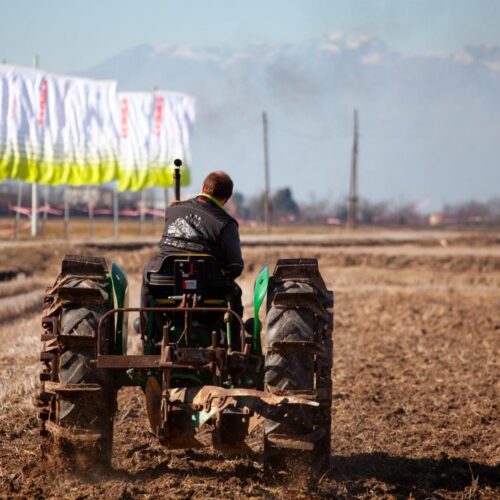 Fiera in Campo 2026, al Centro Fiere di Caresanablot tre giorni tra innovazione e risicoltura del futuro