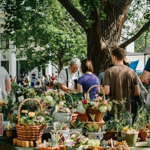 Fiere e sagre del weekend in Piemonte: dai sapori del territorio ai mercatini