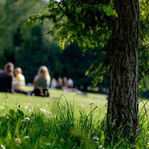Cosa fare il 1° maggio in provincia di Alessandria