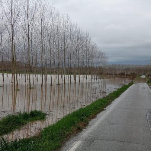 Maltempo: le criticità sulle strade della provincia