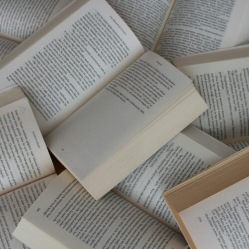 Broni, oltre 800 nuovi libri in biblioteca: 77 sono di autori locali