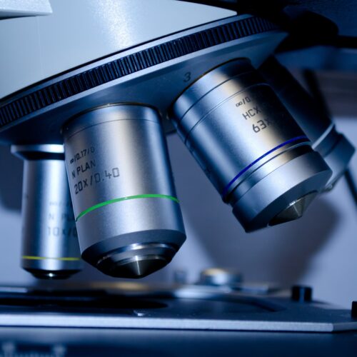 Mesotelioma, svolta dalla ricerca: individuati quattro tipi di tumore legati alla risposta all’immunoterapia