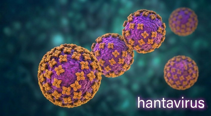 Hantavirus: “Massima attenzione” della Regione Piemonte. “Al momento nessun allarme”
