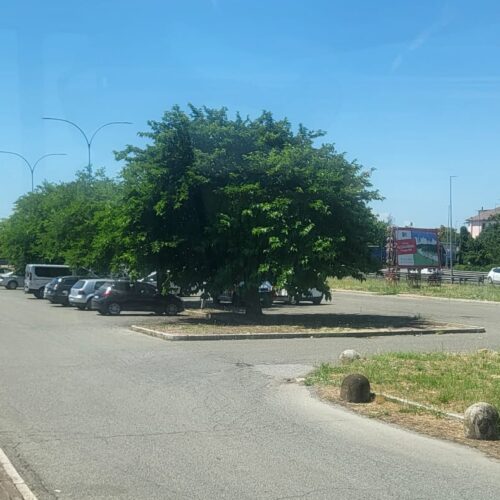 “Piazzola (e ombra) vietata ai tir ma visto il caldo bastava un po’ di flessibilità”