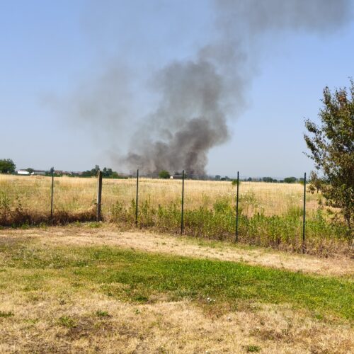 Altro incendio sterpaglie nell’Alessandrino: il rogo in un campo a Spinetta