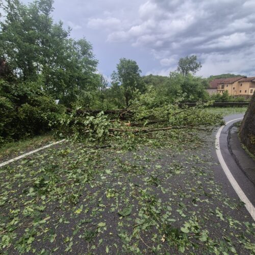 Maltempo: a Gabiano alberi abbattuti e danni anche alle abitazioni per il vento e la grandine