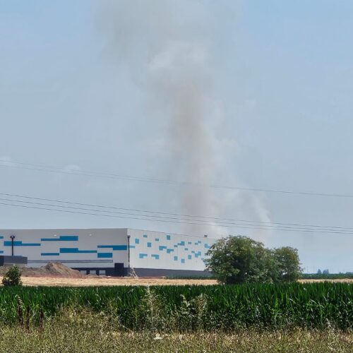 Incendio di sterpaglie tra Spinetta e Litta Parodi: al lavoro i Vigili del Fuoco