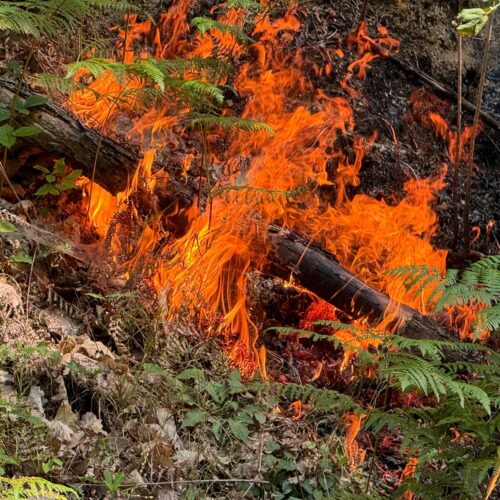 Sterpaglie a fuoco nell’ovadese