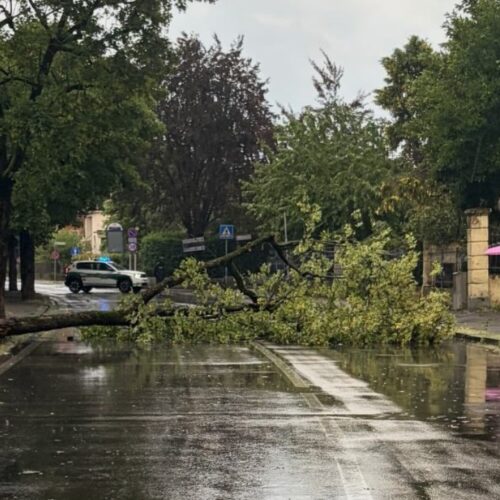 Oltre 30 interventi dei Vigili del Fuoco per il maltempo