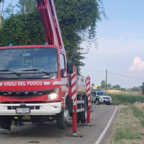 Rimosso un albero pericolante a San Salvatore: strada comunale Pietramarazzi riaperta