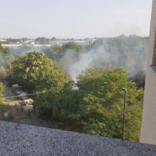 Incendio in via Moisa ad Alessandria: sterpaglie in fiamme, sul posto i Vigili del Fuoco