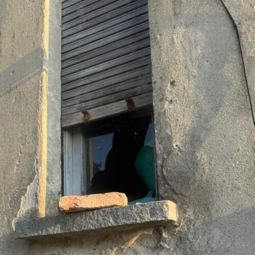 Vandali al Gattile di Tortona: “Aiutateci a trovare alcuni dei nostri felini e a ricostruire l’accaduto”