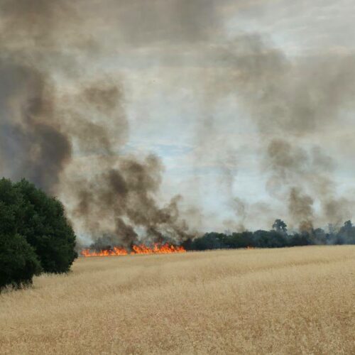 Vasto incendio di sterpaglie nel territorio di Predosa: al lavoro i Vigili del Fuoco