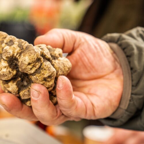Luca Pappagallo racconta il tartufo: “Il bianco non va cucinato, va esaltato”
