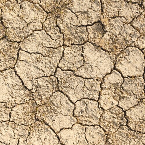 Caldo record nell’Alessandrino: a San Michele superati i 40 gradi
