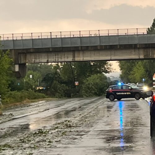 Maltempo nell’Alessandrino: alberi caduti, danni a tetti e disagi alla circolazione