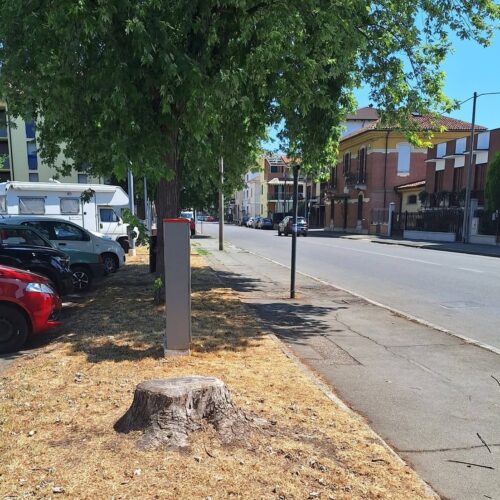 Alberi tagliati, parcheggi assolati e la necessità di cambiare prospettiva