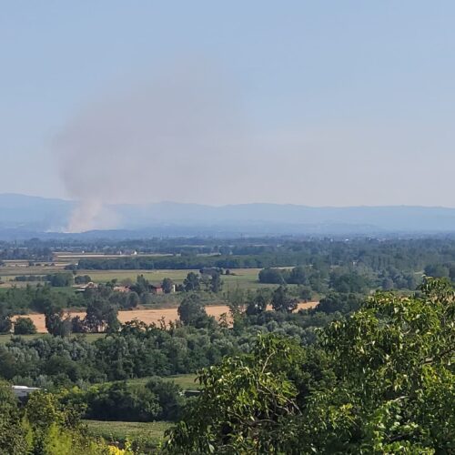 Grosso incendio di sterpaglie tra Sezzadio e Mantovana