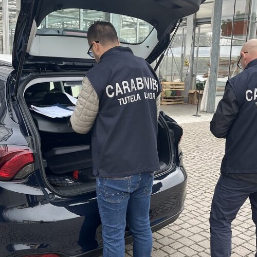 Carabinieri in campo contro il caporalato: al via formazione e controlli