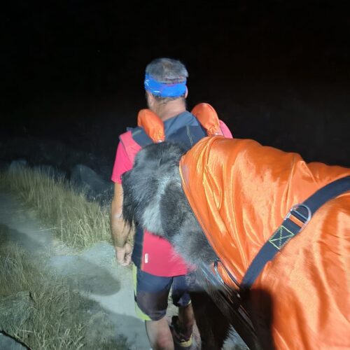 Cane troppo stanco lungo il sentiero: interviene il Soccorso alpino