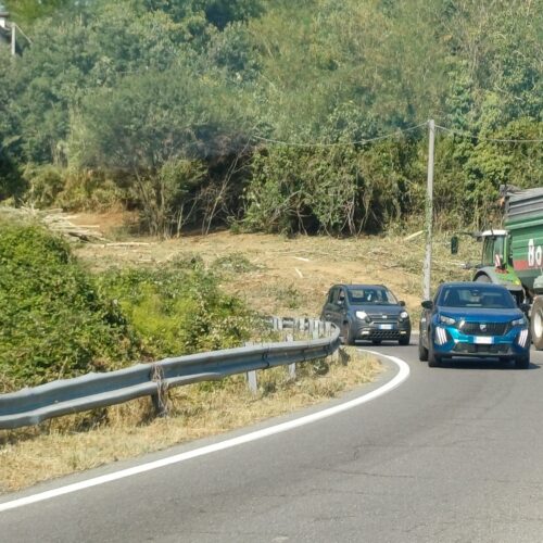 Alberi e vegetazione via dai bordi della Colla: “Intervento per la sicurezza”