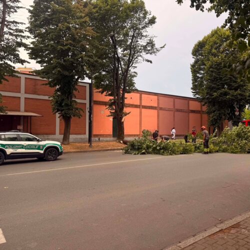 Temporali in arrivo sull’Alessandrino: primi fenomeni tra Val Cerrina e Casalese, ad Alessandria pianta cade in viale Teresa Michel