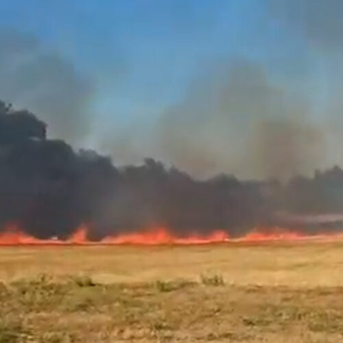 Incendio di un campo di grano a Masio: terminato l’intervento dei Vigili del Fuoco