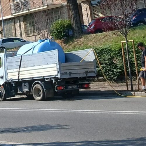 Acqua alle piante e polemiche appassite? A Valenza lo scontro elettorale è sempre verde