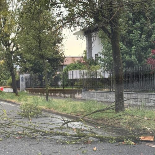 Nubifragio del 15 luglio a Novi Ligure: raccolta gratuita di rami e ramaglie a domicilio