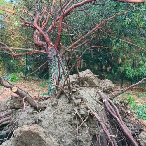 Casal Cermelli dichiara lo stato di calamità naturale dopo il nubifragio del 15 luglio
