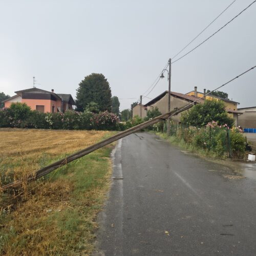 Maltempo: a Isola Sant’Antonio pali del telefono e una pianta abbattuti dal vento