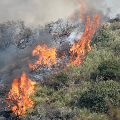 Incendi boschivi in Piemonte, arriva l’elicottero Erickson: rafforzato il dispositivo per contrastare i roghi