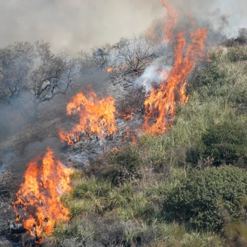 Incendi boschivi, dall’8 luglio scatta in Piemonte lo stato di massima pericolosità: ecco divieti e sanzioni