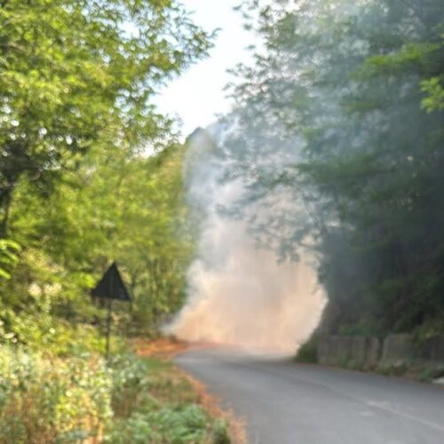 Spento l’incendio boschivo a Molare sulla strada verso Olbicella