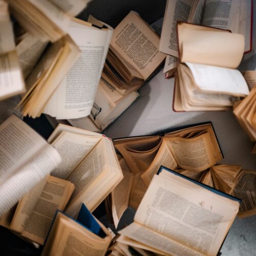 Premio Acqui Storia, svelati i finalisti della 59ª edizione: oltre 220 libri in concorso