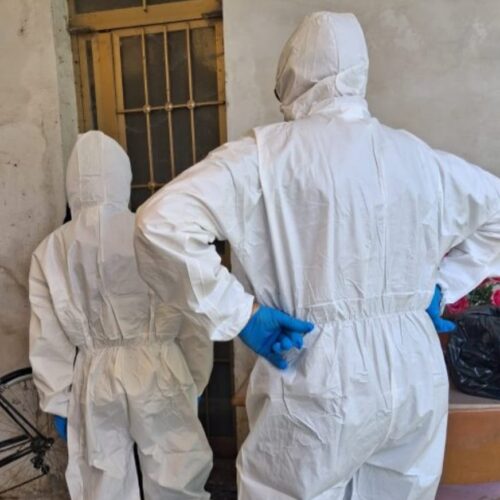 Donna viveva nel degrado insieme ai suoi animali a Morano sul Po: in casa anche la carcassa di un cane